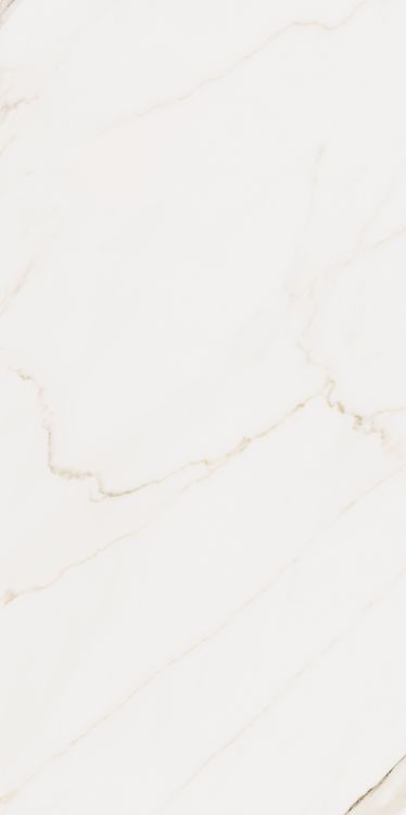 Omnia Calacatta Matte 24 x 48